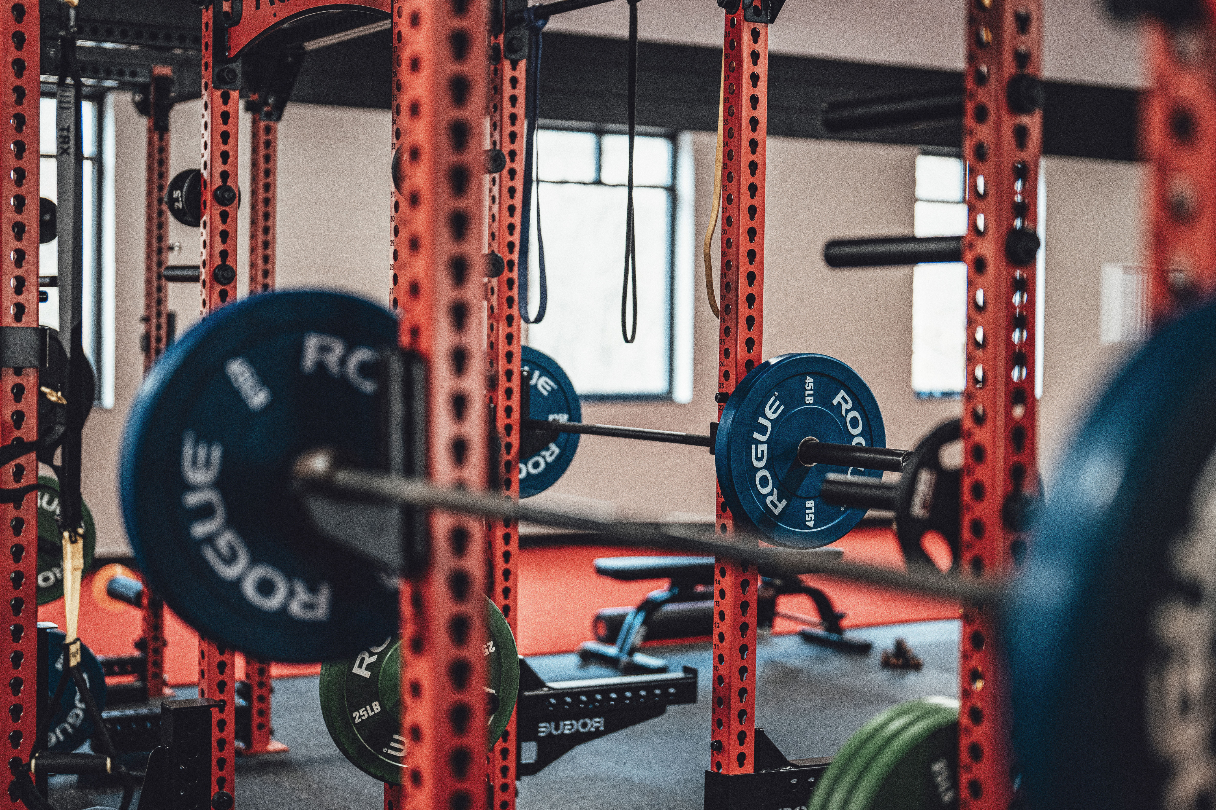 Fitness Coaching